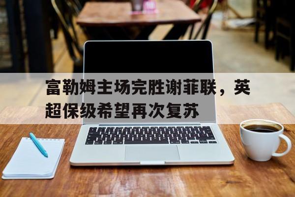 富勒姆vs谢菲联 富勒姆vs谢菲联